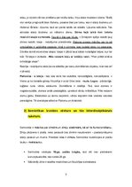 Konspekts 'Kultūras semiotika. Eksāmena jautājumi.', 3.