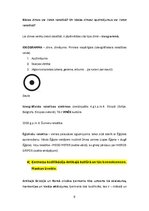 Konspekts 'Kultūras semiotika. Eksāmena jautājumi.', 8.