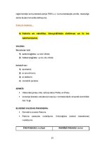 Konspekts 'Kultūras semiotika. Eksāmena jautājumi.', 21.