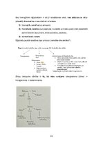 Konspekts 'Kultūras semiotika. Eksāmena jautājumi.', 26.