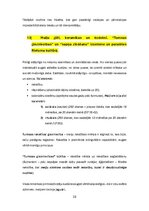 Konspekts 'Kultūras semiotika. Eksāmena jautājumi.', 32.