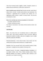 Konspekts 'Kultūras semiotika. Eksāmena jautājumi.', 33.