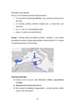 Konspekts 'Kultūras semiotika. Eksāmena jautājumi.', 36.