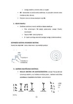 Konspekts 'Kultūras semiotika. Eksāmena jautājumi.', 53.
