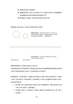 Konspekts 'Kultūras semiotika. Eksāmena jautājumi.', 73.