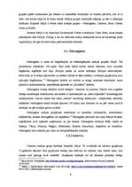 Referāts 'Sicīlijas mafija', 9.