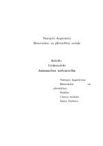 Referāts 'Automašīnu tirdzniecība', 1.