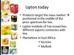 Prezentācija 'Lipton Tea', 8.