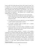 Referāts 'Eiropas Savienības noteiktās prasības transportlīdzekļu izmantošanā', 18.