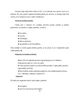 Referāts 'Eiropas Savienības noteiktās prasības transportlīdzekļu izmantošanā', 30.