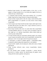 Referāts 'Eiropas Savienības noteiktās prasības transportlīdzekļu izmantošanā', 43.