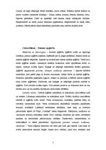 Konspekts 'Integrētās mācības pamatizglītībā. Praktiskais uzdevums', 5.