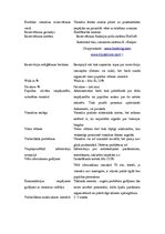 Konspekts 'Viesu uzņemšanas dienestu darba organizācija', 3.