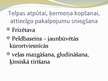 Prezentācija '1, 2 un 3 zvaigžņu viesnīcu salīdzinājums', 17.