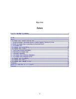 Referāts 'Latvijas Republikas Satversmes tiesas darbība un kompetence', 3.