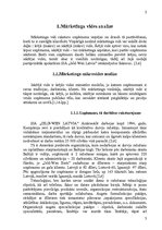 Referāts 'Uzņēmuma "X" mārketinga vides un stratēģijas analīze un darbības plānošana', 5.