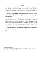 Referāts 'Klasiskās organizācijas teorijas pielietošana uzņēmuma SIA "Zeize" analīzē', 3.