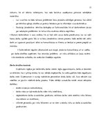 Referāts 'Klasiskās organizācijas teorijas pielietošana uzņēmuma SIA "Zeize" analīzē', 13.