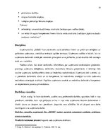 Referāts 'Klasiskās organizācijas teorijas pielietošana uzņēmuma SIA "Zeize" analīzē', 19.