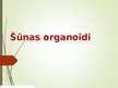 Prezentācija 'Šūnas organoīdi', 1.