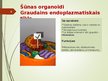 Prezentācija 'Šūnas organoīdi', 4.