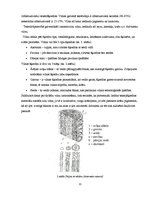 Referāts 'Vilnas krāsošana ar dabīgām vielām', 9.