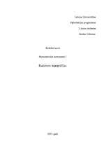 Konspekts 'Radzenes topogrāfija', 1.