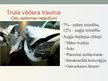 Prezentācija 'Grūtniecība un traumas', 13.