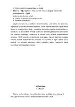 Biznesa plāns 'Viesu nama "Liepas" biznesa plāns', 10.