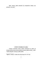 Referāts 'Amatniecības nozīme viduslaiku pilsētas attīstībā', 9.