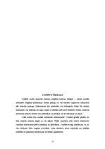 Referāts 'Amatniecības nozīme viduslaiku pilsētas attīstībā', 12.