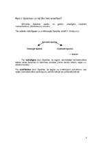 Referāts 'Lielmolekulārie savienojumi - šķiedras', 4.