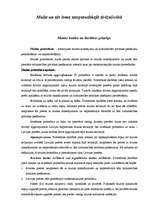 Konspekts 'Muita un tās loma starptautiskajā tirdzniecībā', 1.