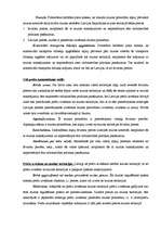 Konspekts 'Muita un tās loma starptautiskajā tirdzniecībā', 3.