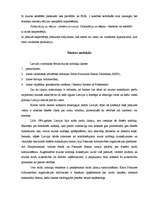 Konspekts 'Muita un tās loma starptautiskajā tirdzniecībā', 6.