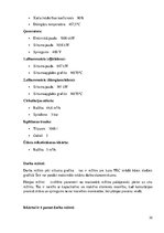 Referāts 'Siltuma elektrostacijas', 32.