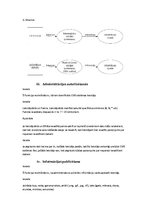 Paraugs 'Mājas lapas veidošanas prasību specifikācija', 8.