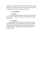 Paraugs 'Mājas lapas veidošanas prasību specifikācija', 11.