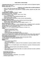 Konspekts 'Lekciju konspekts "Naudas teorijas"', 1.