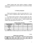 Biznesa plāns 'Viesmīlības uzņēmuma attīstības plāns', 5.