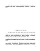 Biznesa plāns 'Viesmīlības uzņēmuma attīstības plāns', 12.