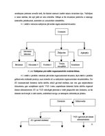 Biznesa plāns 'Viesmīlības uzņēmuma attīstības plāns', 13.