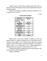 Biznesa plāns 'Viesmīlības uzņēmuma attīstības plāns', 16.