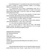 Prakses atskaite 'Ievadprakse tiesā ', 4.