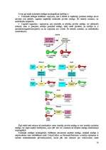 Referāts 'Ieskats modernajā kriptogrāfijā', 16.