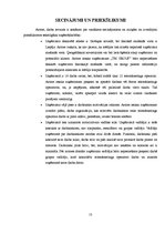 Prakses atskaite 'Prakses atskaite telemārketinga kompānijā', 13.