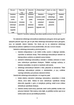 Referāts 'Mārketinga komunikāciju īpatnības internetā', 6.