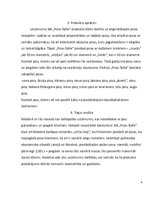 Biznesa plāns 'SIA "Picas šķēle"', 4.