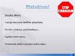 Prezentācija 'Problēmas tūrismā - terorisms', 11.