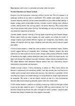 Eseja 'Climate change and our future', 11.